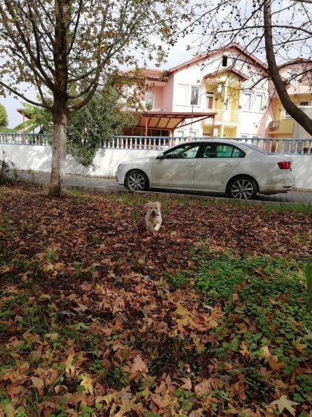 Sato Apart Hotel Φετιγιέ Εξωτερικό φωτογραφία